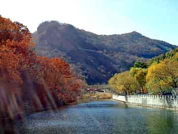 新澳天天开奖资料大全旅游团，天道泛目录